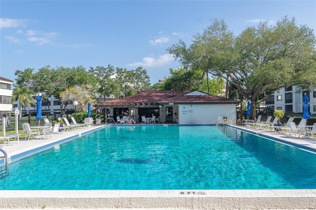 出租: $1,300 (1 贝兹, 1 浴室, 555 平方英尺)