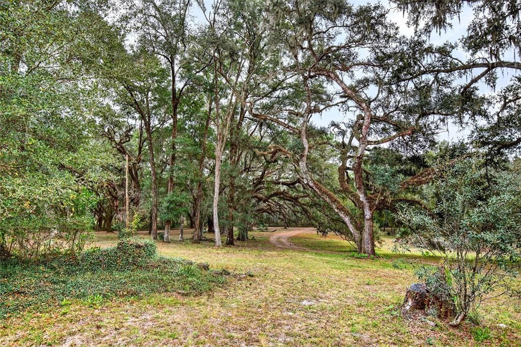 待售: $1,150,000 (3 贝兹, 3 浴室, 2399 平方英尺)