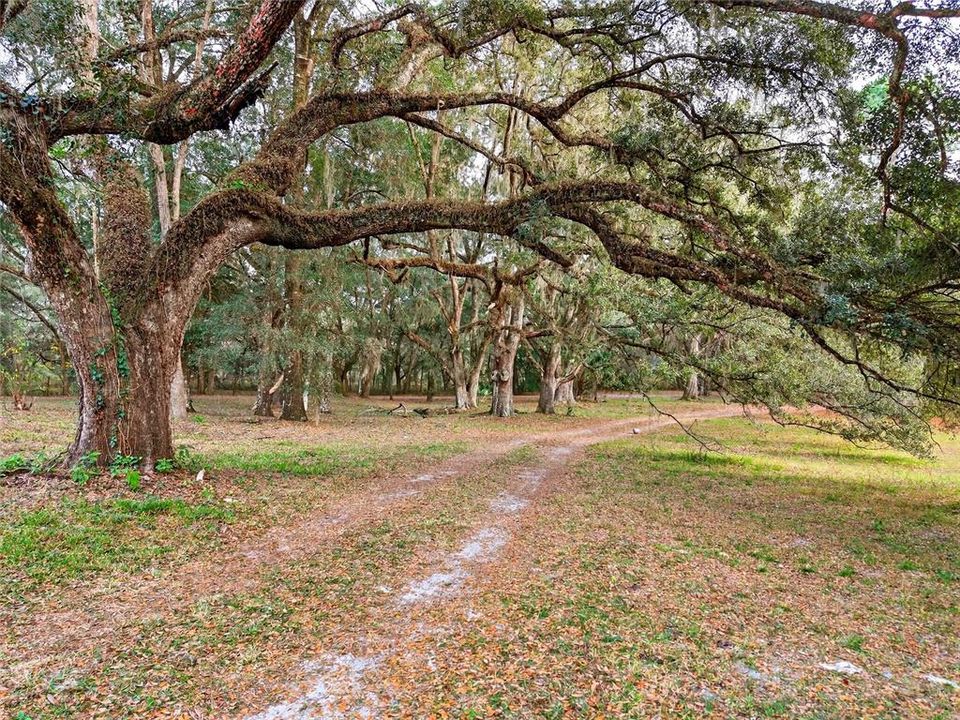 待售: $1,150,000 (3 贝兹, 3 浴室, 2399 平方英尺)