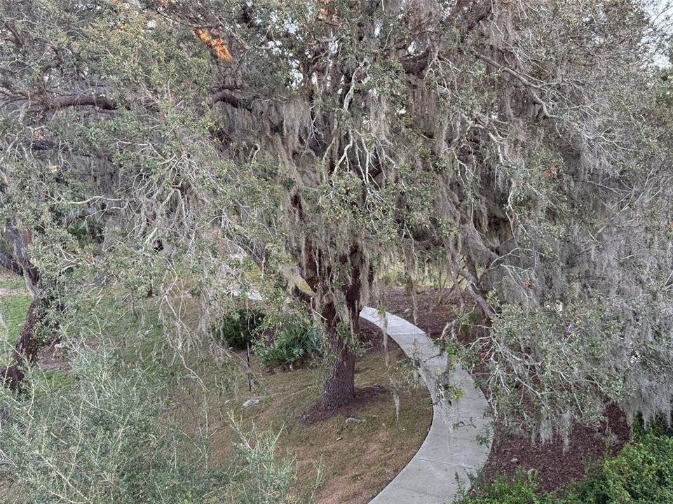 En Renta: $4,500 (4 camas, 3 baños, 2954 Pies cuadrados)