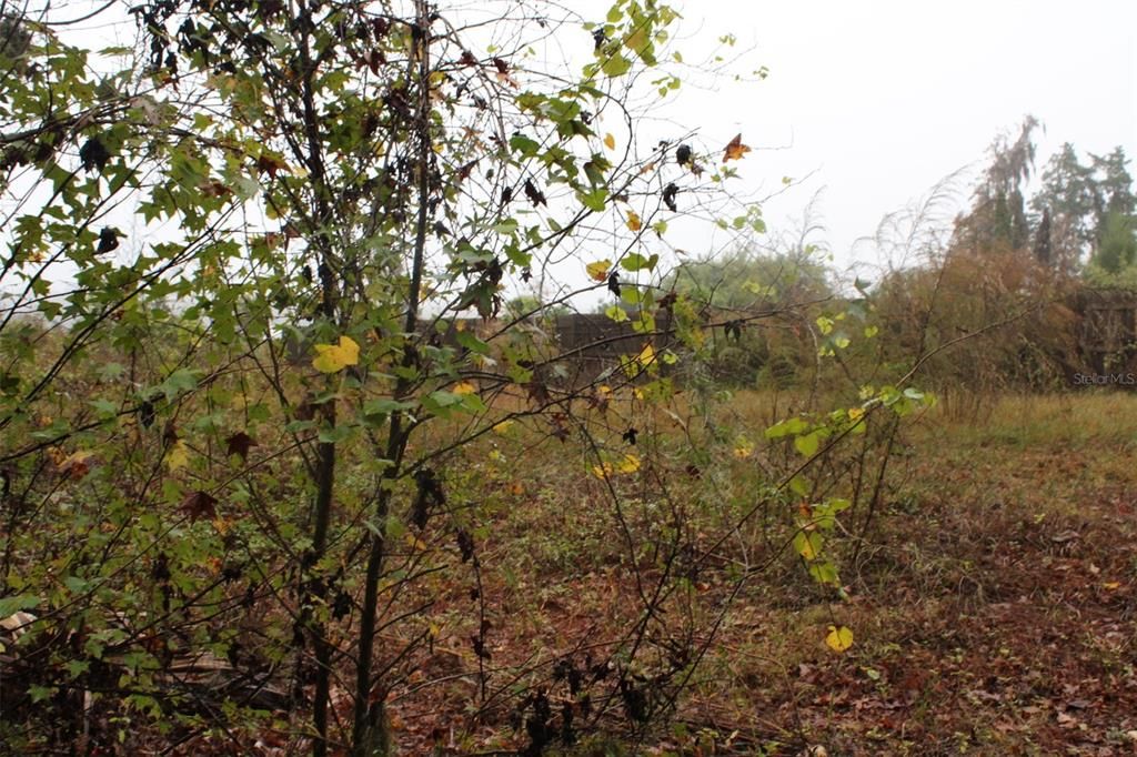 For Sale: $92,000 (2.56 acres)