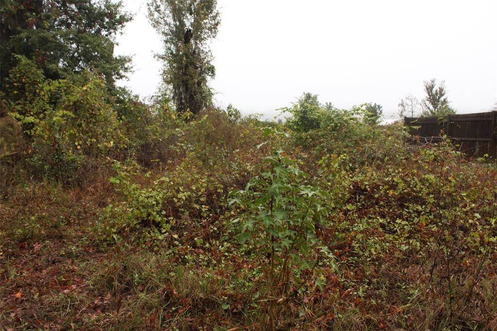 For Sale: $92,000 (2.56 acres)