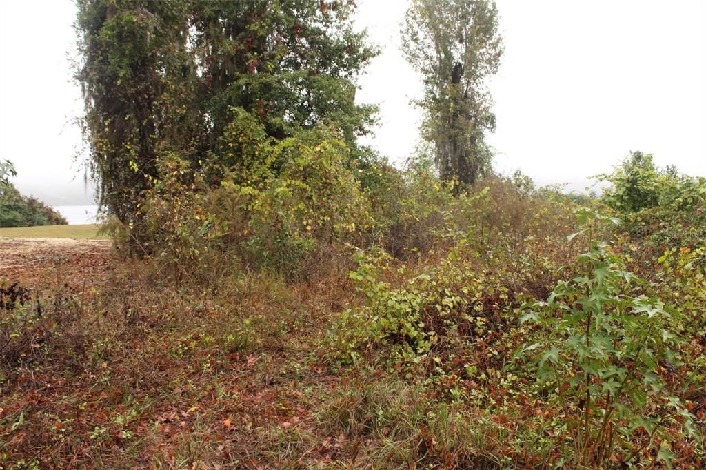 For Sale: $92,000 (2.56 acres)