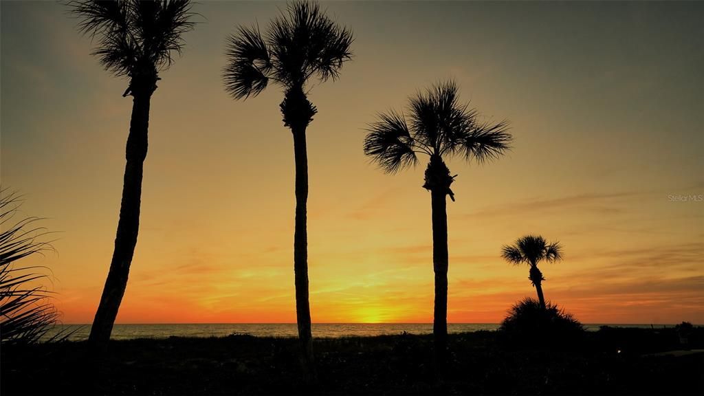 Activo con contrato: $549,000 (2 camas, 2 baños, 928 Pies cuadrados)