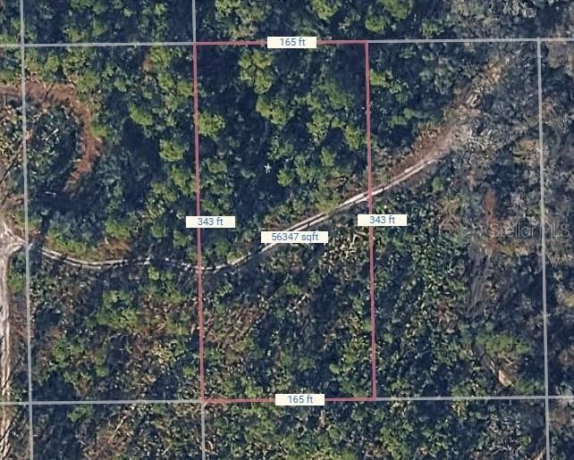 En Venta: $9,000 (1.25 acres)