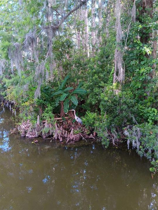 待售: $42,000 (0.07 acres)