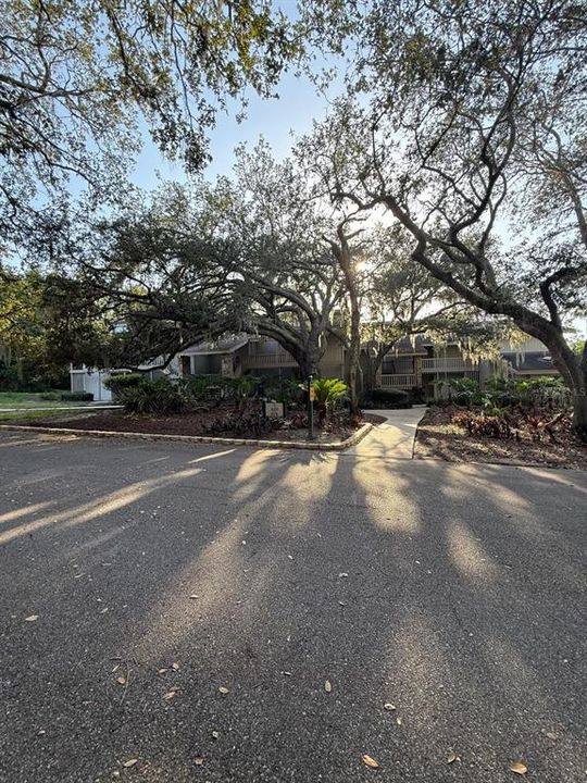 For Rent: $1,100 (1 beds, 1 baths, 974 Square Feet)