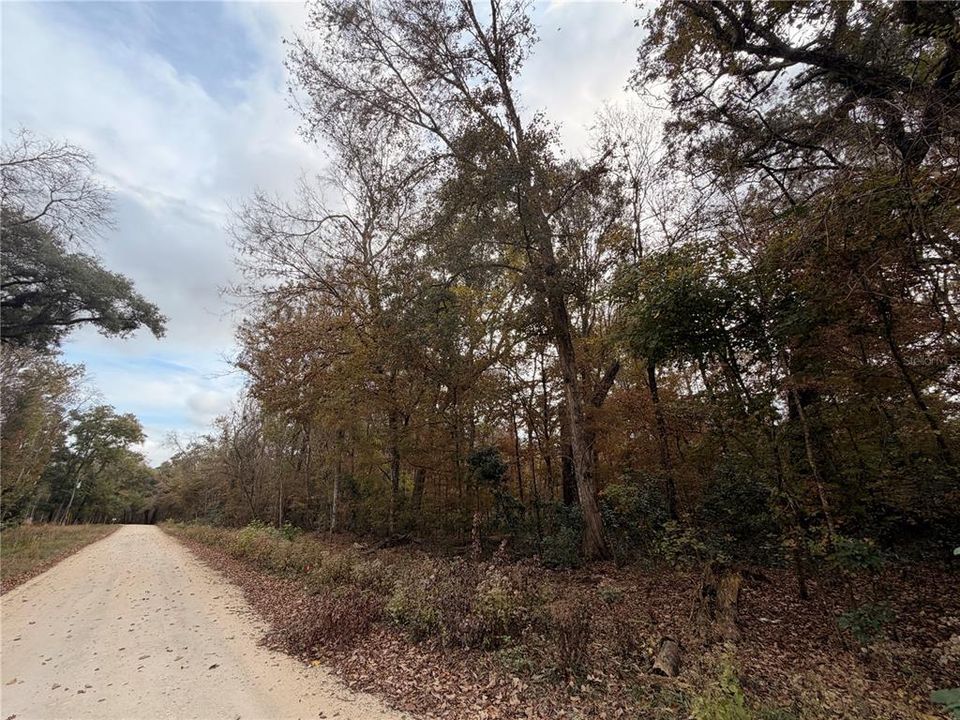 For Sale: $27,999 (0.92 acres)