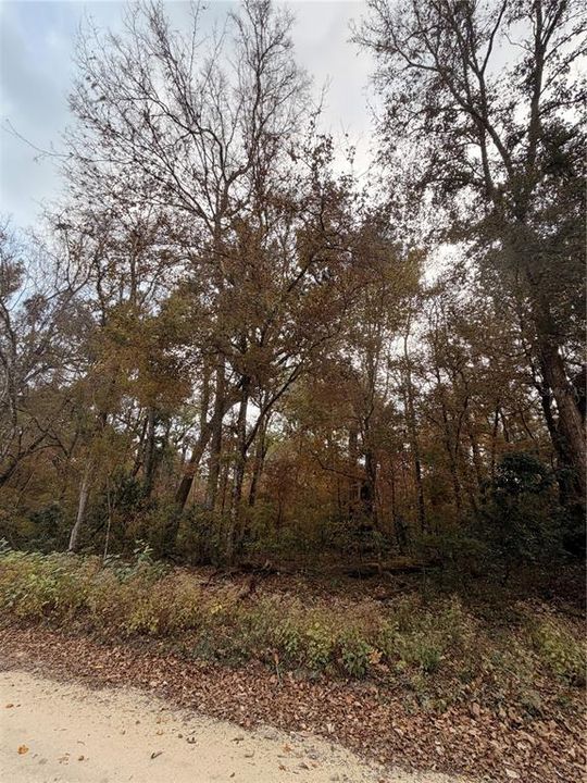 For Sale: $27,999 (0.92 acres)