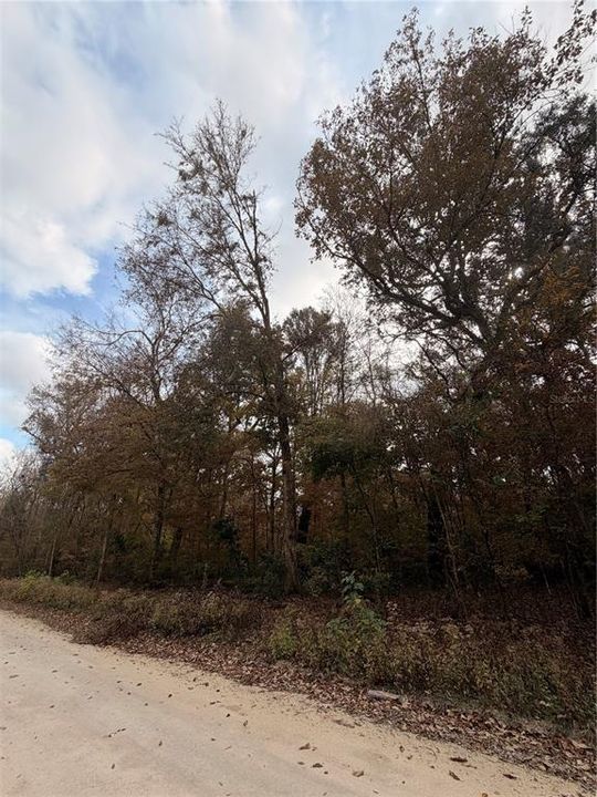 For Sale: $27,999 (0.92 acres)