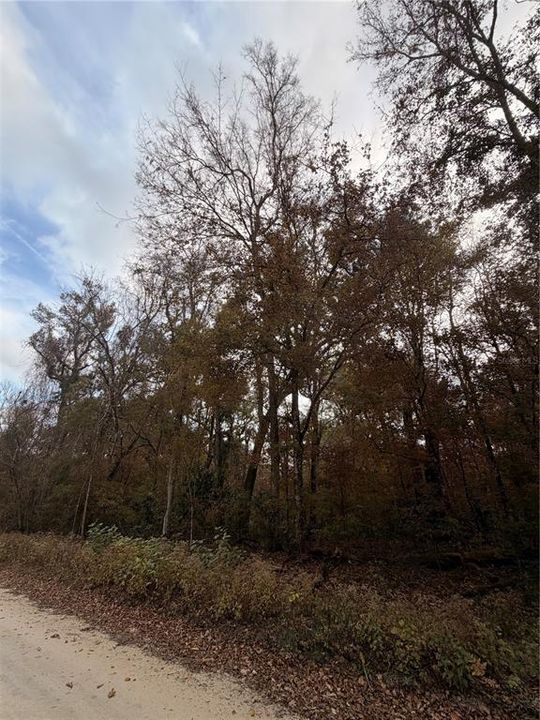 For Sale: $27,999 (0.92 acres)