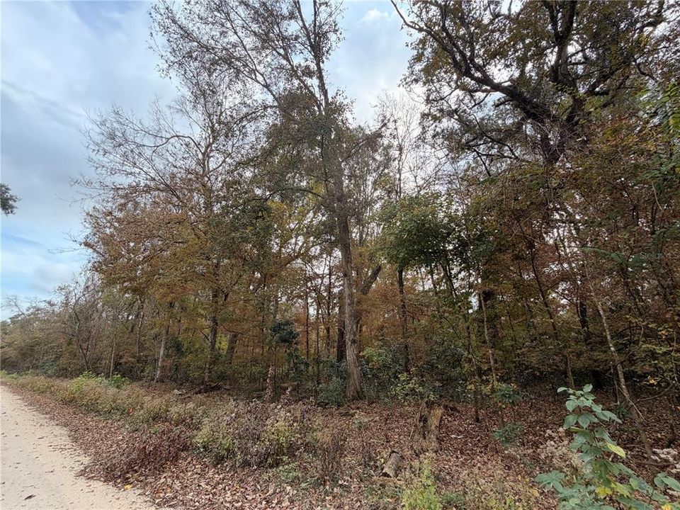 For Sale: $27,999 (0.92 acres)