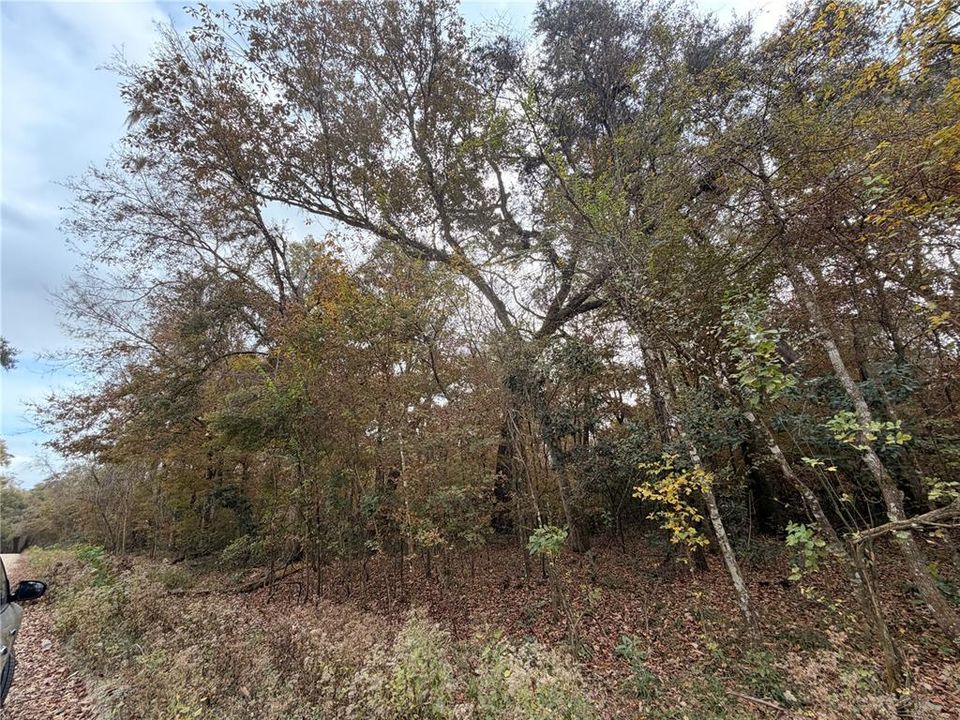 For Sale: $27,999 (0.92 acres)