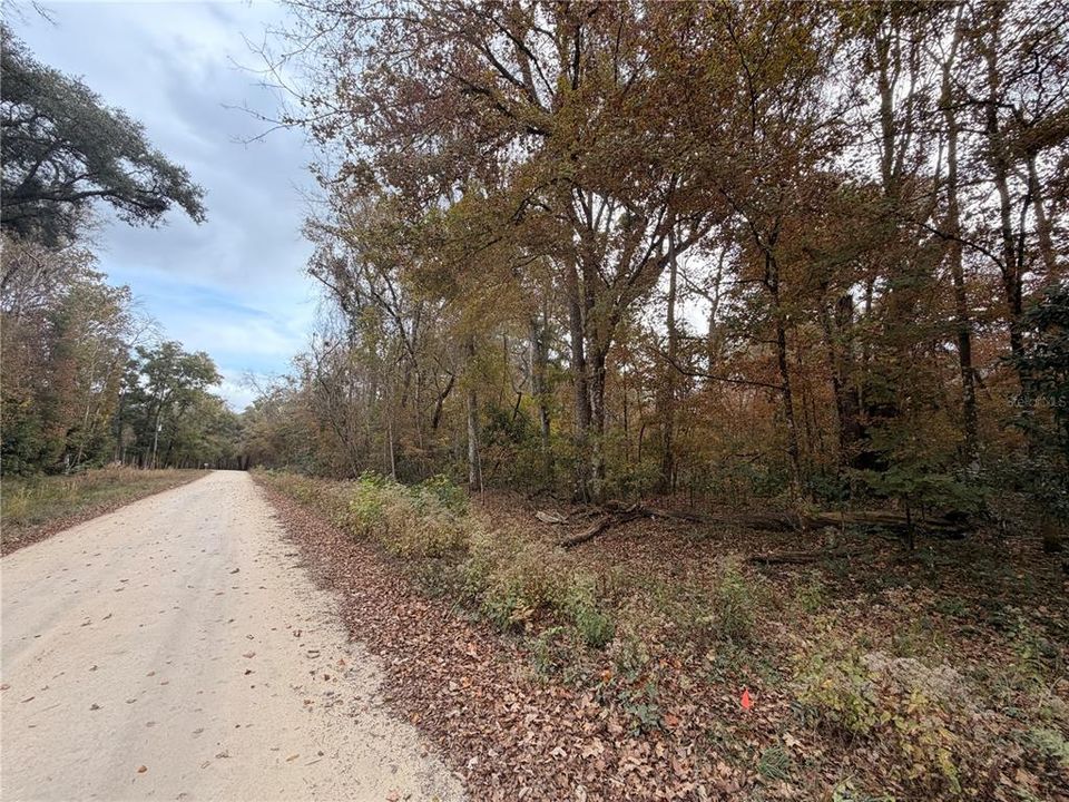 For Sale: $27,999 (0.92 acres)