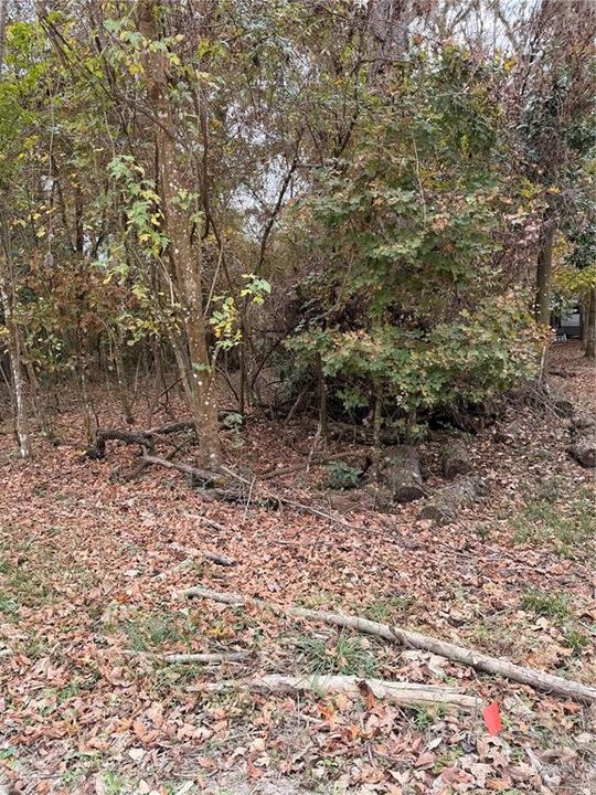 For Sale: $27,999 (0.92 acres)