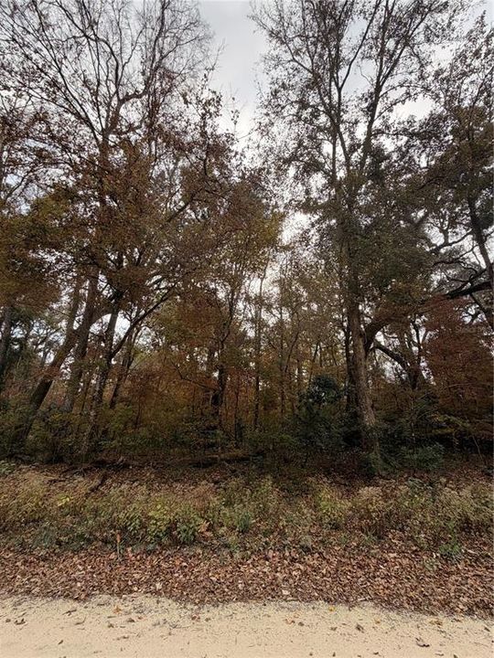 For Sale: $27,999 (0.92 acres)