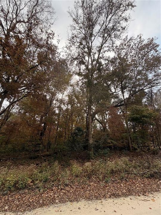 For Sale: $27,999 (0.92 acres)