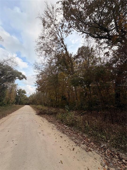 For Sale: $27,999 (0.92 acres)