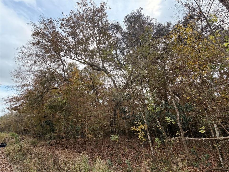 For Sale: $27,999 (0.92 acres)