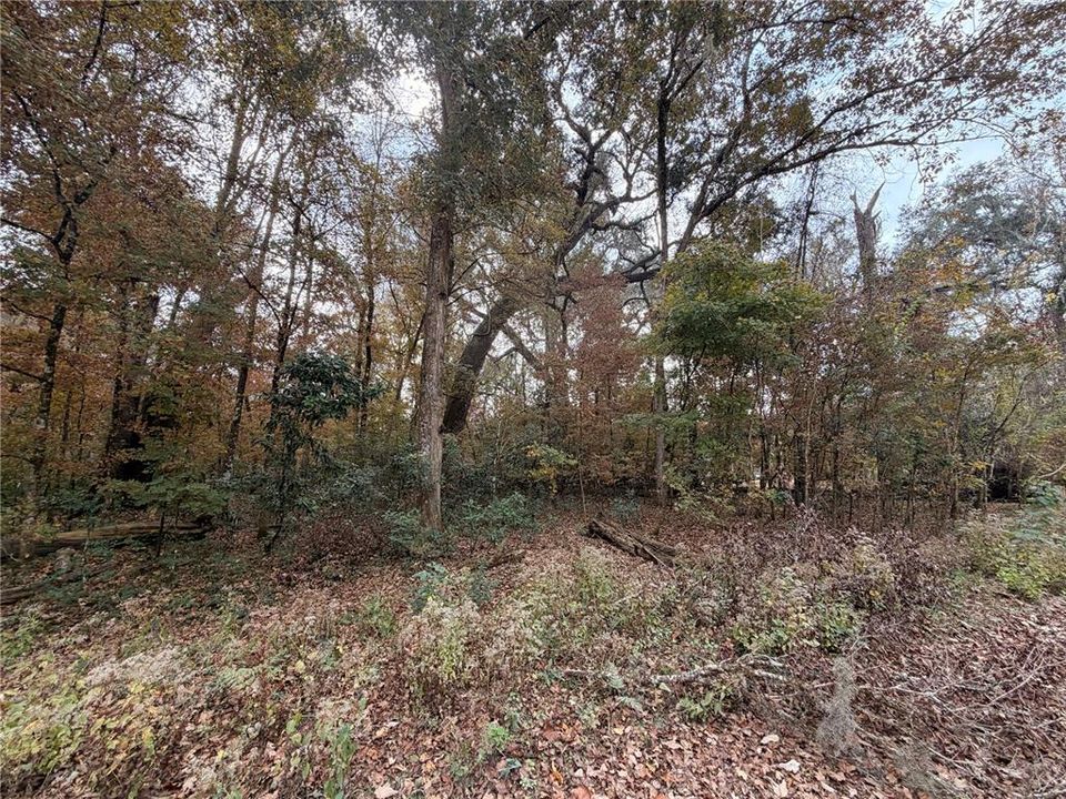 For Sale: $27,999 (0.92 acres)