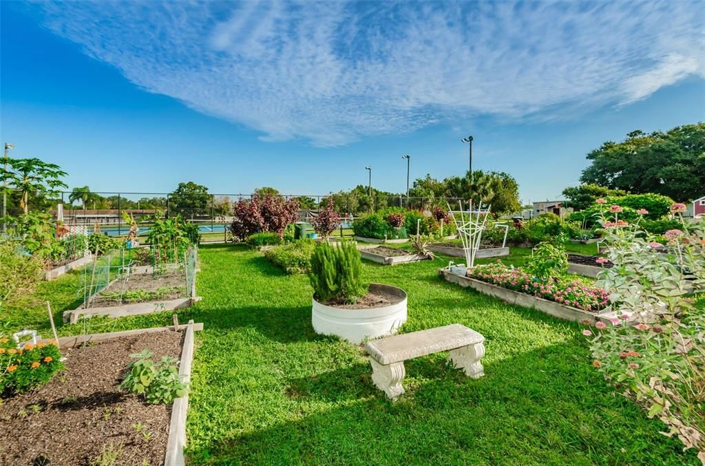 En Renta: $3,000 (3 camas, 2 baños, 1500 Pies cuadrados)