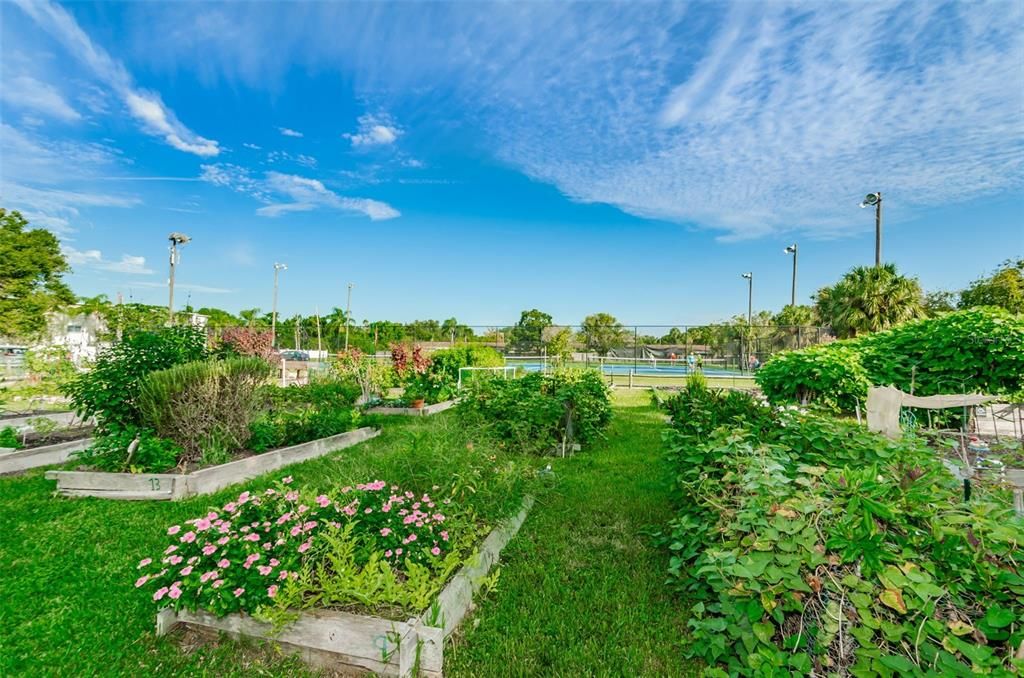 En Renta: $3,000 (3 camas, 2 baños, 1500 Pies cuadrados)