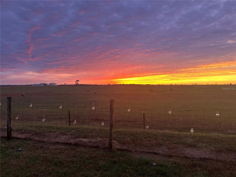 出租: $2,500 (3 贝兹, 2 浴室, 1736 平方英尺)