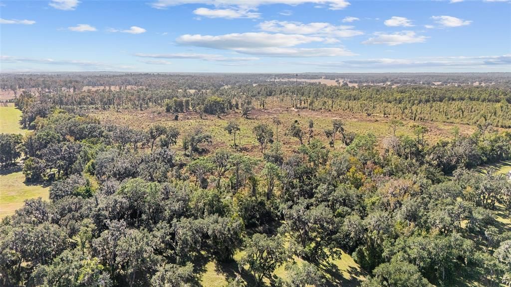 На продажу: $24,162,000 (80.54 acres)