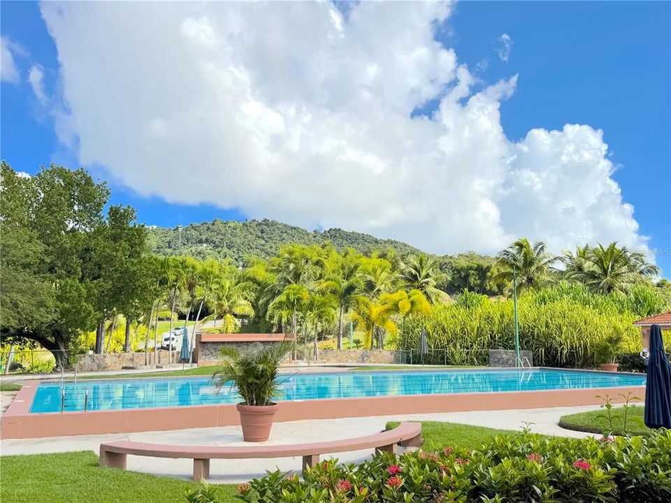 En Venta: $495,000 (4 camas, 2 baños, 2200 Pies cuadrados)