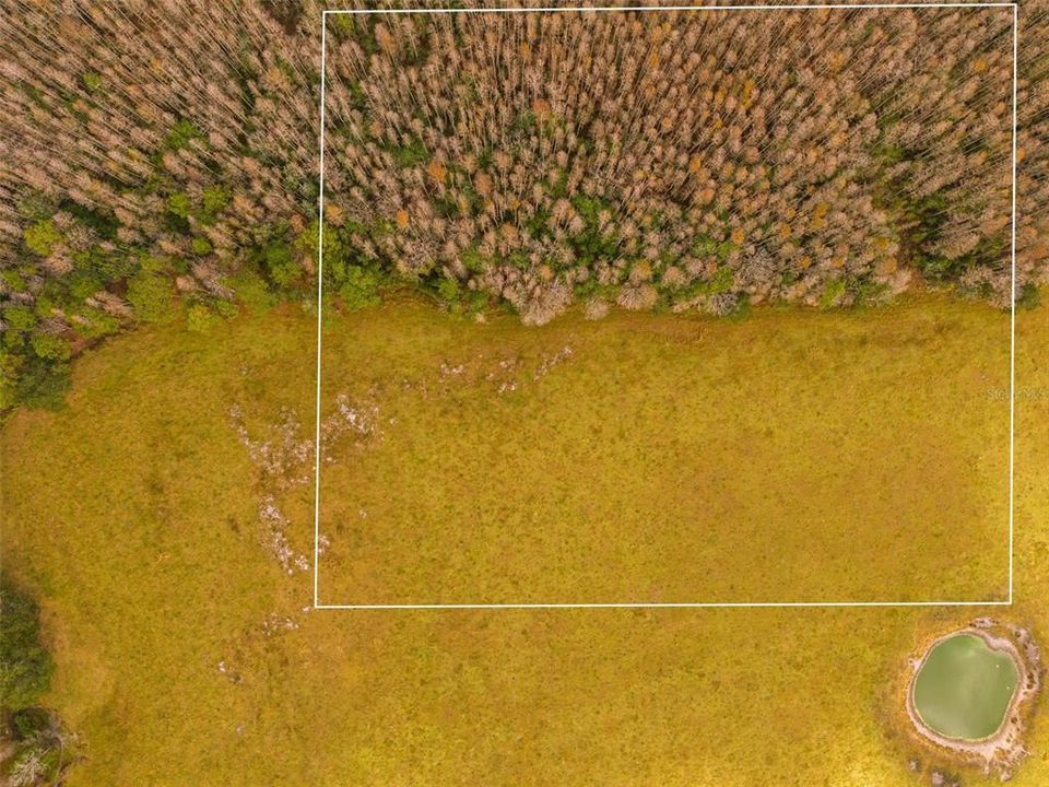 На продажу: $349,000 (10.00 acres)