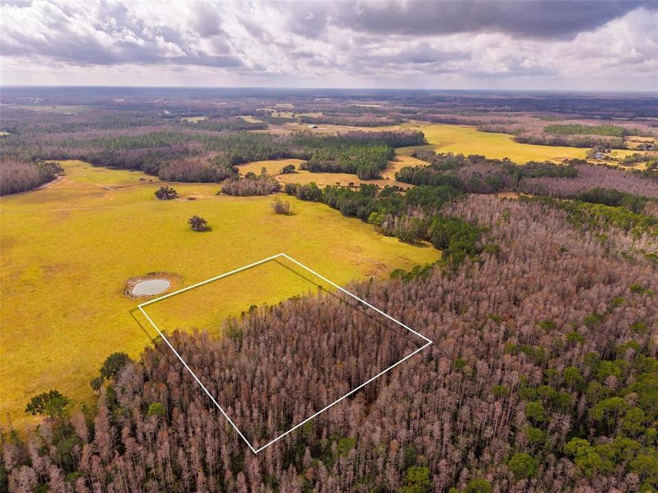На продажу: $349,000 (10.00 acres)