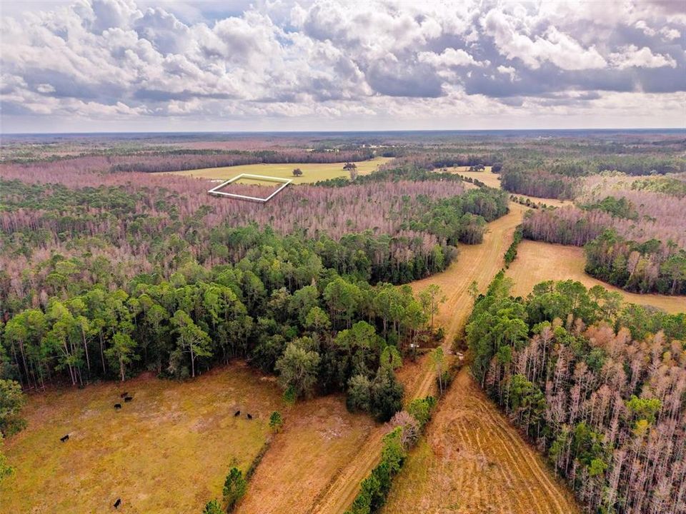 На продажу: $349,000 (10.00 acres)
