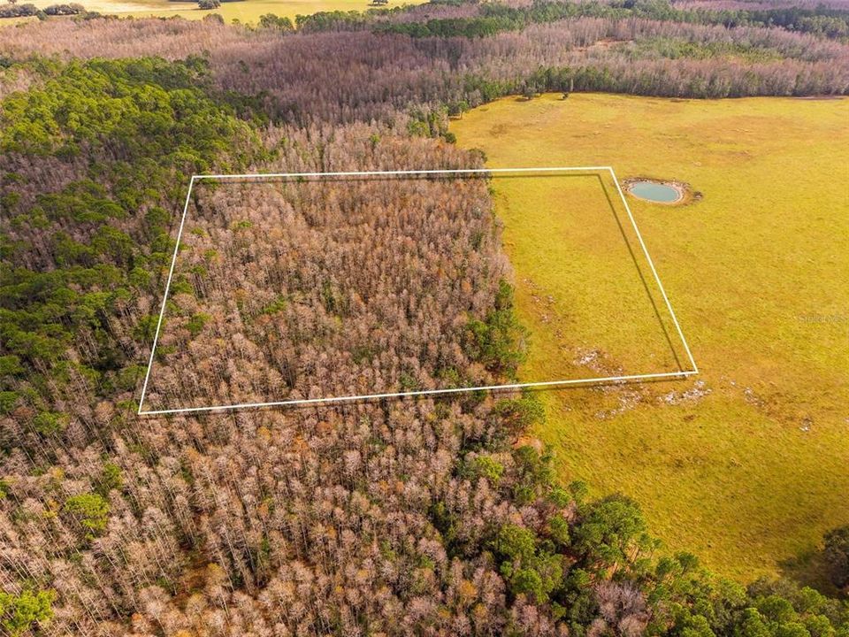 На продажу: $349,000 (10.00 acres)