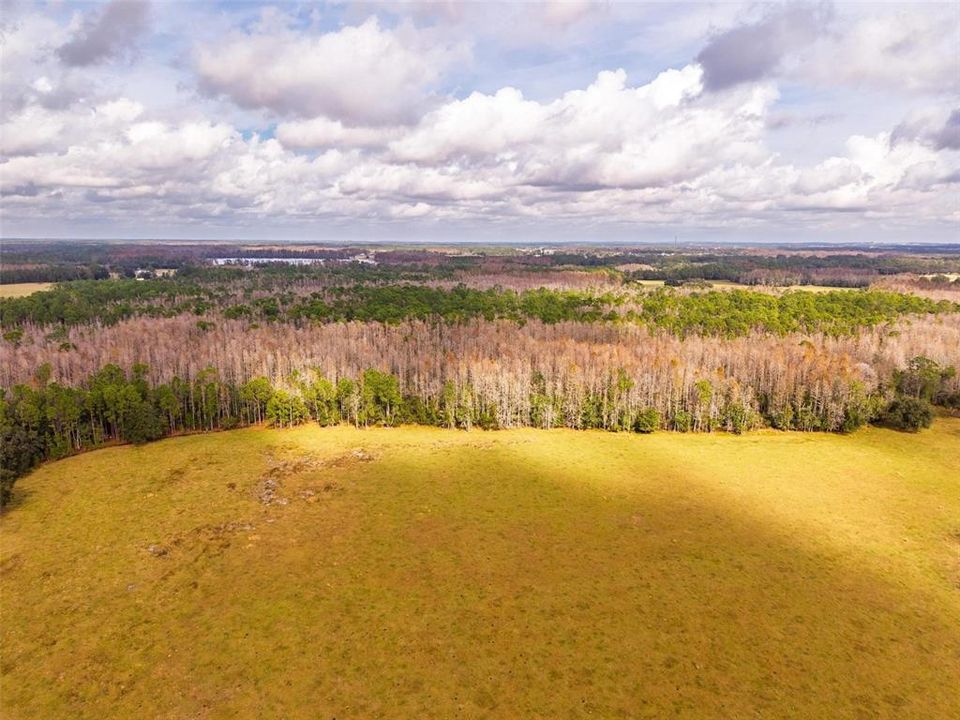 На продажу: $349,000 (10.00 acres)