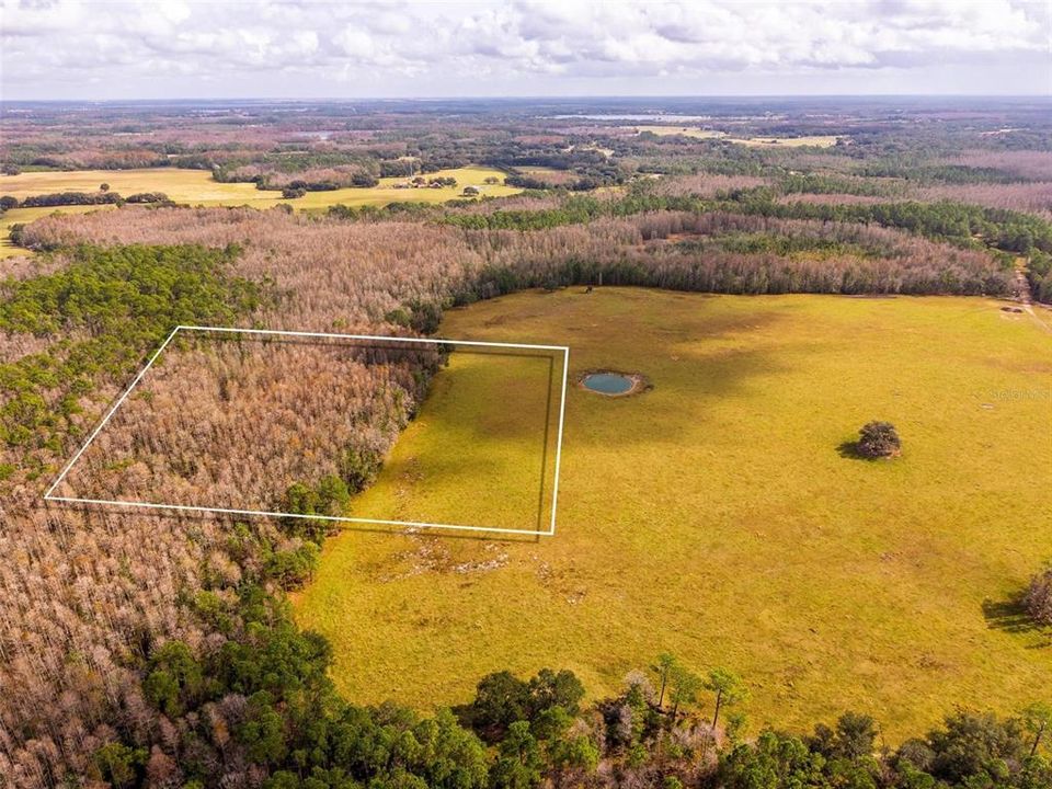 На продажу: $349,000 (10.00 acres)