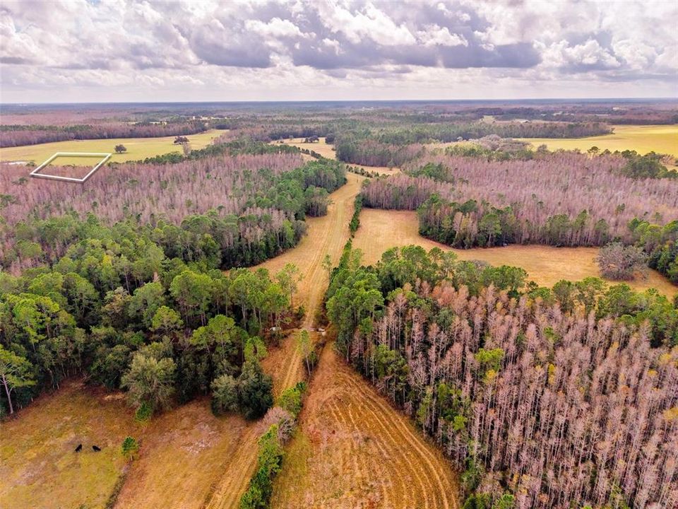 На продажу: $349,000 (10.00 acres)