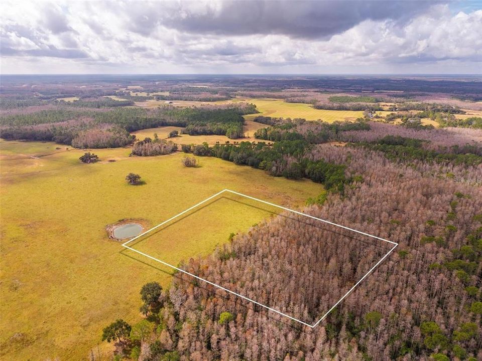 На продажу: $349,000 (10.00 acres)