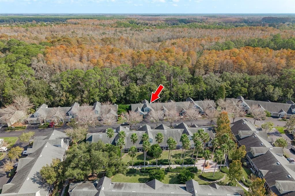 На продажу: $319,000 (3 спален, 2 ванн, 1559 Квадратных фут)