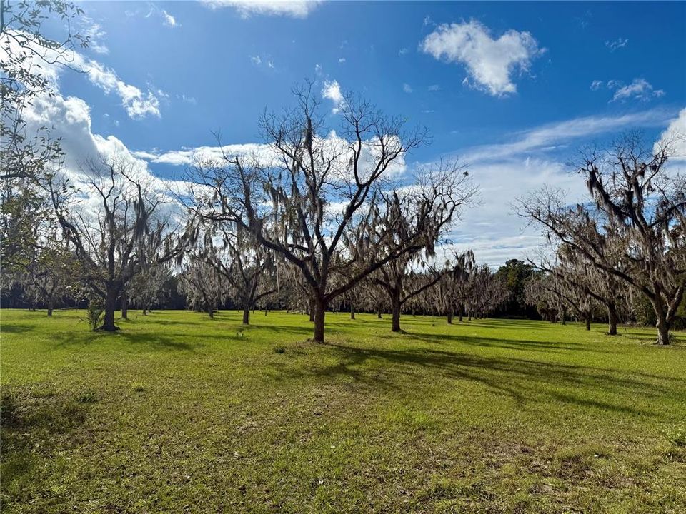 На продажу: $599,900 (4 спален, 2 ванн, 2120 Квадратных фут)