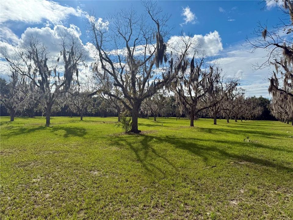 На продажу: $599,900 (4 спален, 2 ванн, 2120 Квадратных фут)