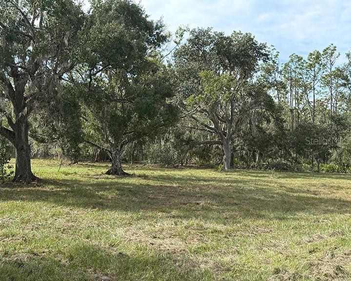 На продажу: $385,000 (7.90 acres)