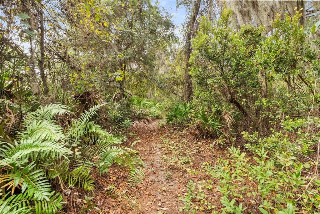 For Sale: $995,000 (4 beds, 2 baths, 2091 Square Feet)