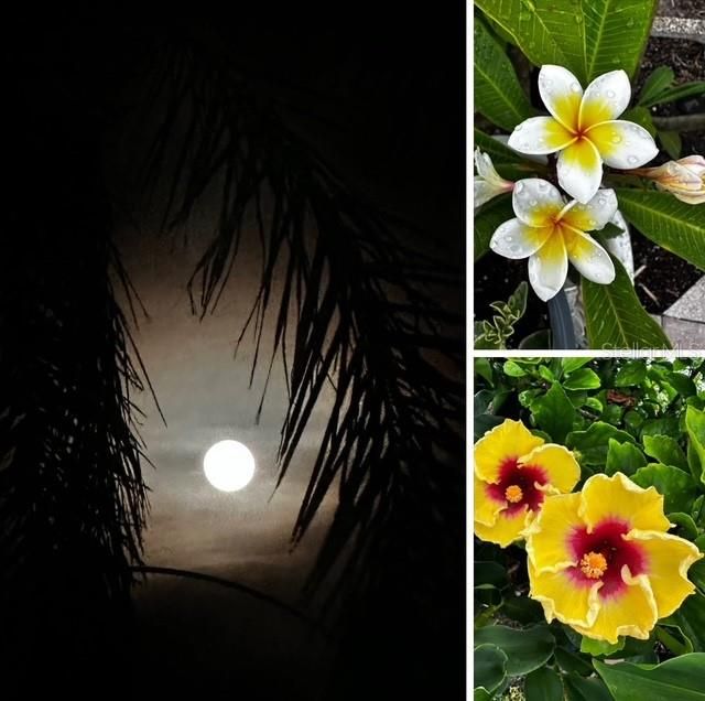 待售: $164,900 (1 贝兹, 1 浴室, 564 平方英尺)