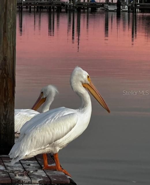 待售: $164,900 (1 贝兹, 1 浴室, 564 平方英尺)