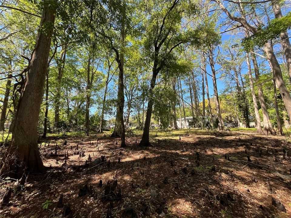 В аренду: $1,095 (1 спален, 1 ванн, 432 Квадратных фут)