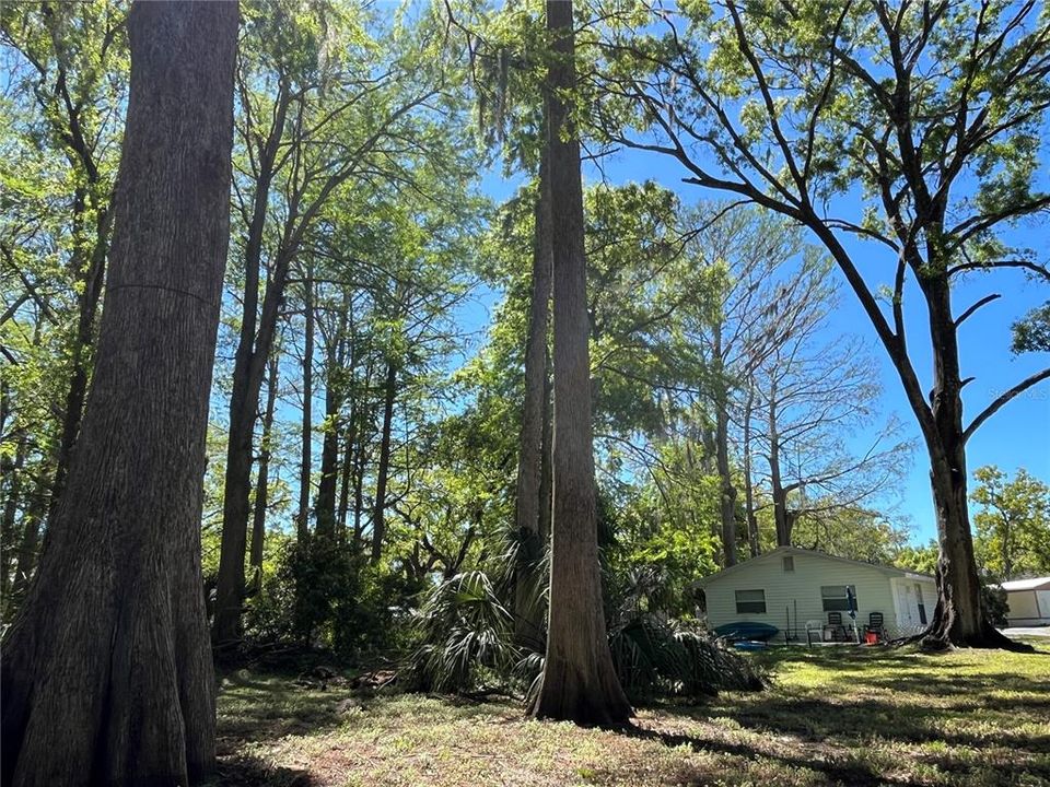 В аренду: $1,095 (1 спален, 1 ванн, 432 Квадратных фут)