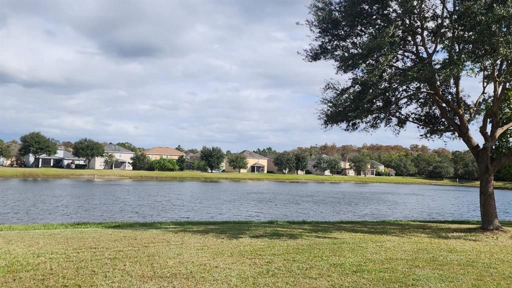 For Rent: $3,100 (4 beds, 3 baths, 2767 Square Feet)