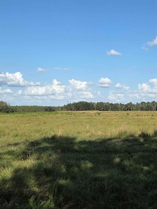 На продажу: $169,995 (3 спален, 2 ванн, 1512 Квадратных фут)