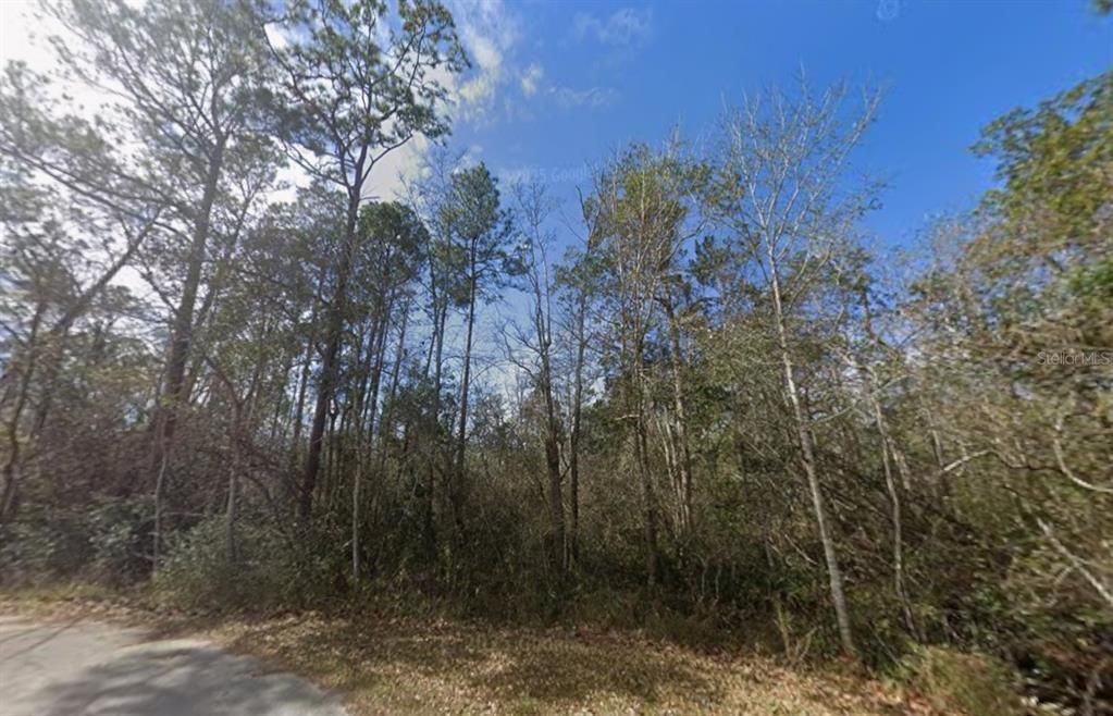 待售: $69,999 (1.95 acres)