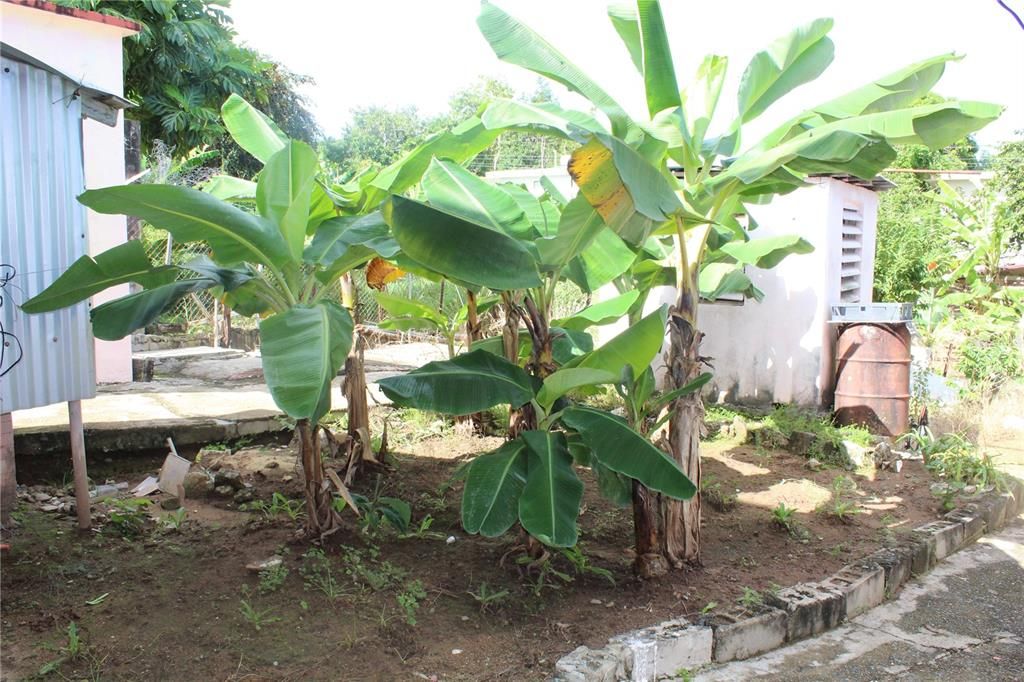 For Sale: $299,000 (6 beds, 2 baths, 2000 Square Feet)